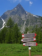 devtra 033m : devtra